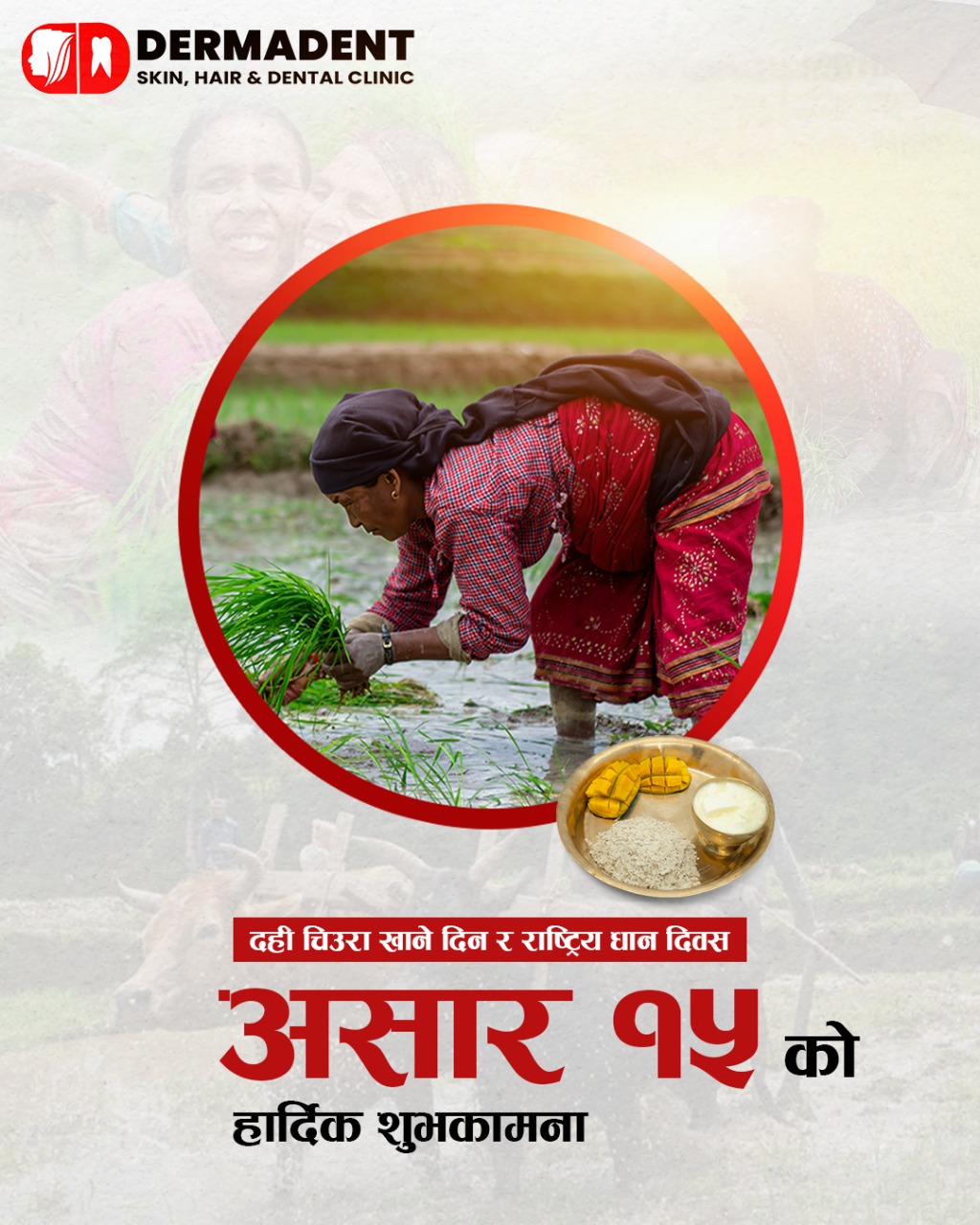 Dhan harvest cultural creative